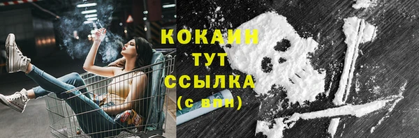 спиды Алзамай