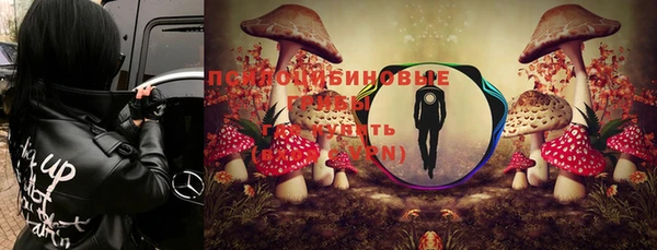 спиды Алзамай
